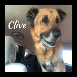 Clive