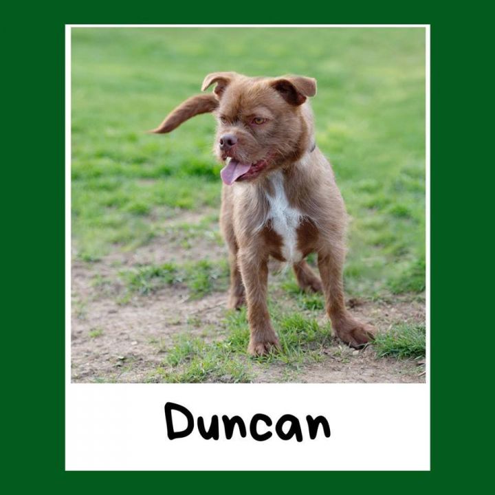 Duncan 2