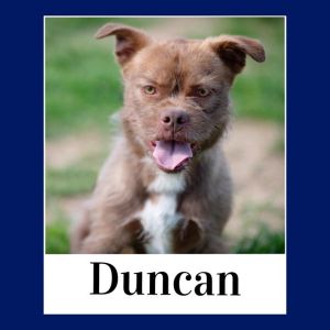 Duncan