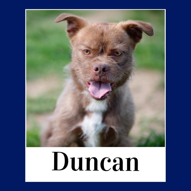 Duncan 1