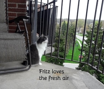 Fritz 5