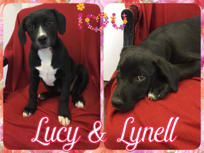 Lucy & Lynell