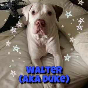 Walter