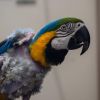 Trudy photo 4