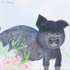 Petunia photo 3