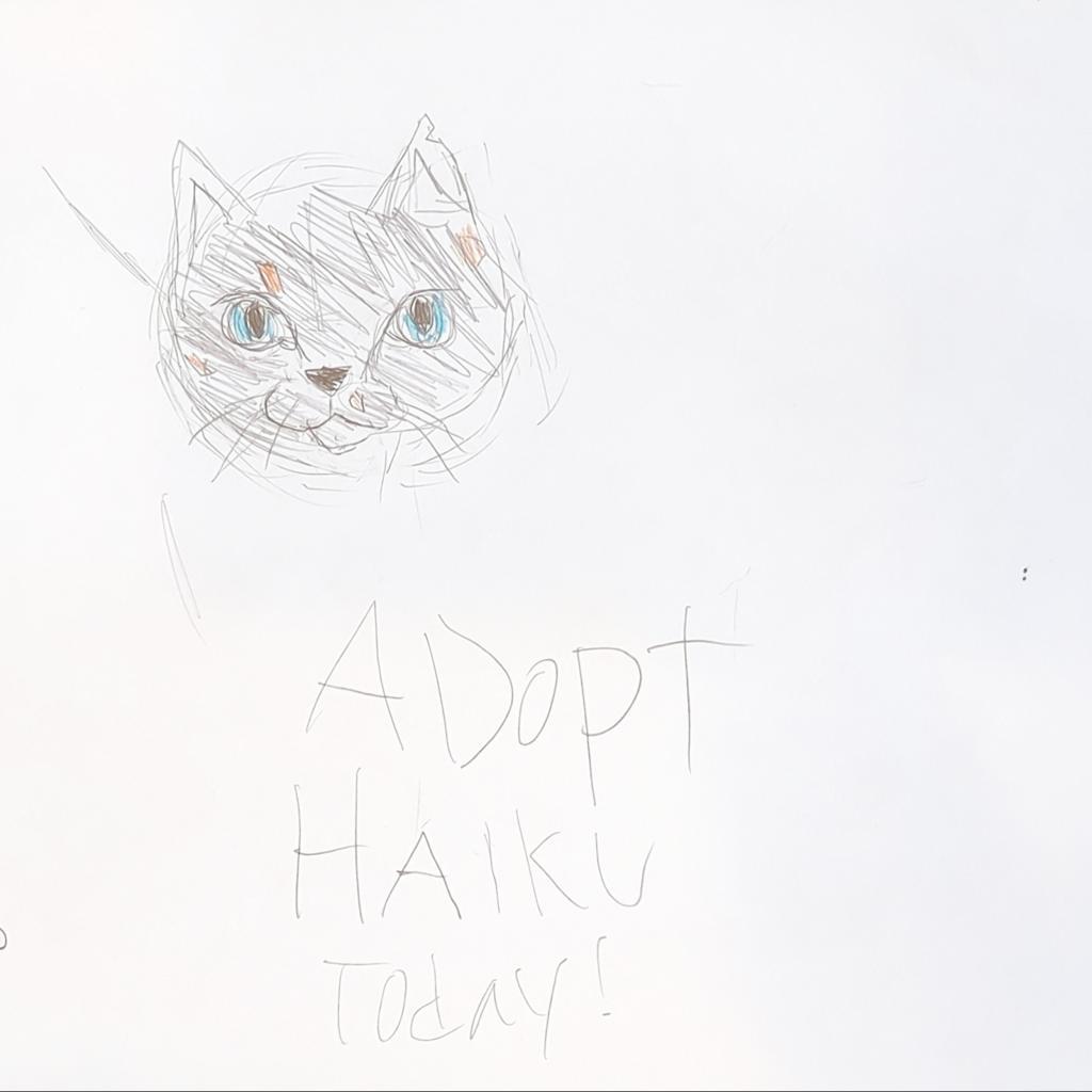 Haiku, an adoptable Siamese, Domestic Short Hair in Kanab, UT, 84741 | Photo Image 2