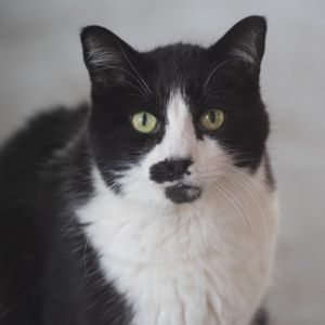 Carlson, Senior Male unknown