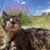 Bruce photo 5