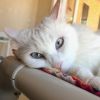 Zima photo 6