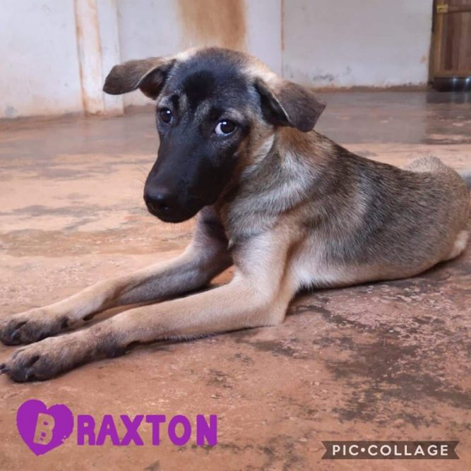 Braxton - from Thailand