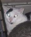 Andre photo 5