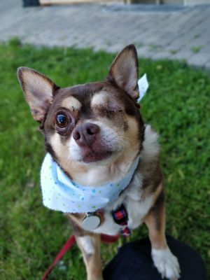 . Max .