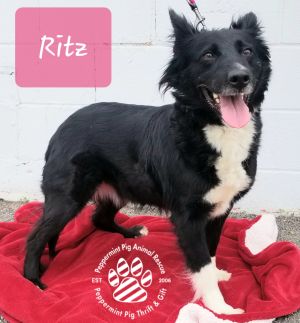 Ritz