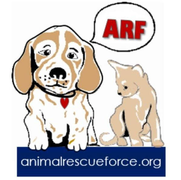 "A Blank Adoption Form"