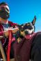 . Burt & Ernie Southern Chi chis .