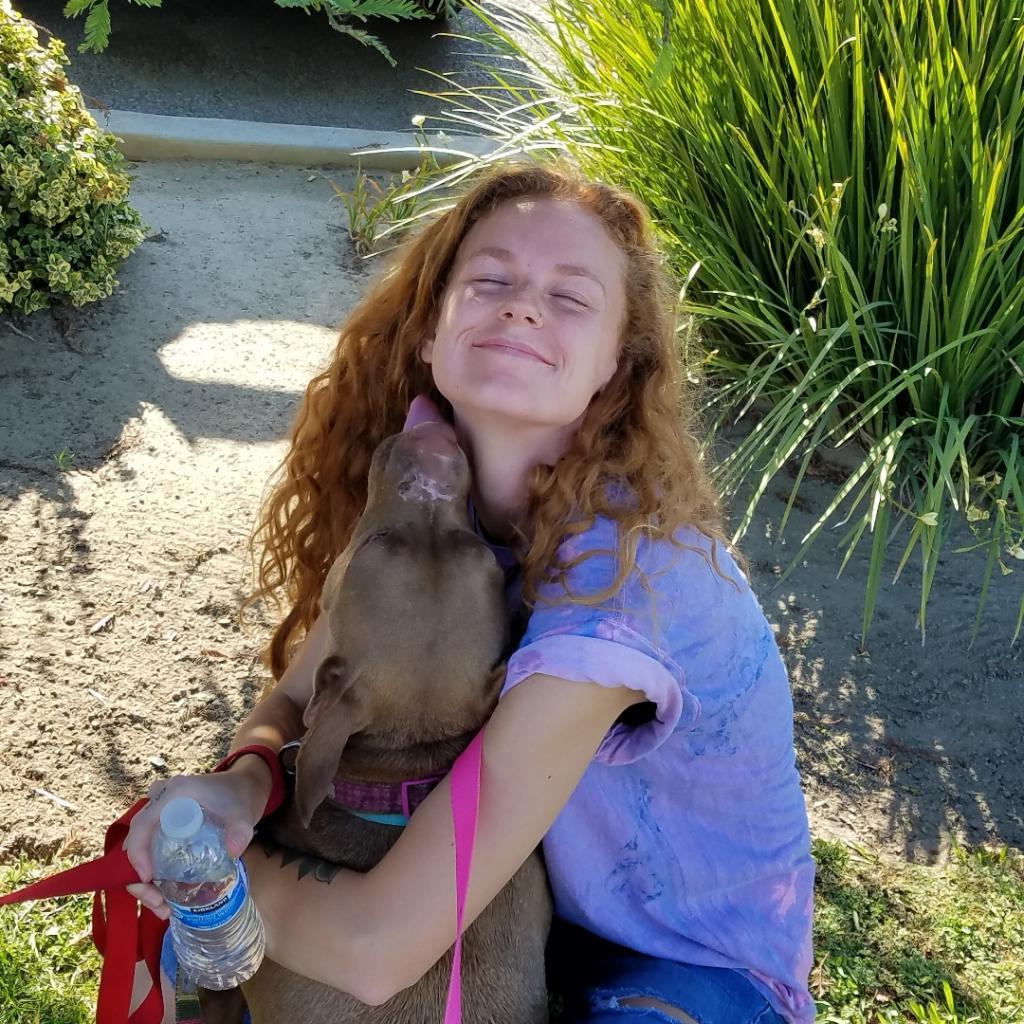 Miss Boss, an adoptable Pit Bull Terrier in Fresno, CA, 93725 | Photo Image 4