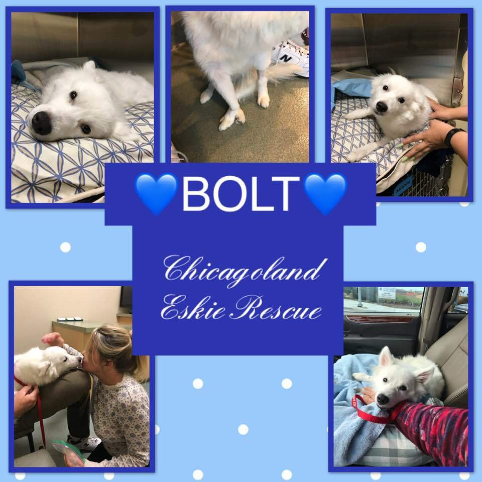 Bolt detail page