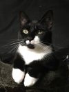 Phoebe B photo 1