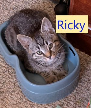 Ricky (Michelle's foster)
