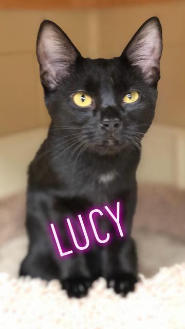 Lucy - professional bird watcher! 2