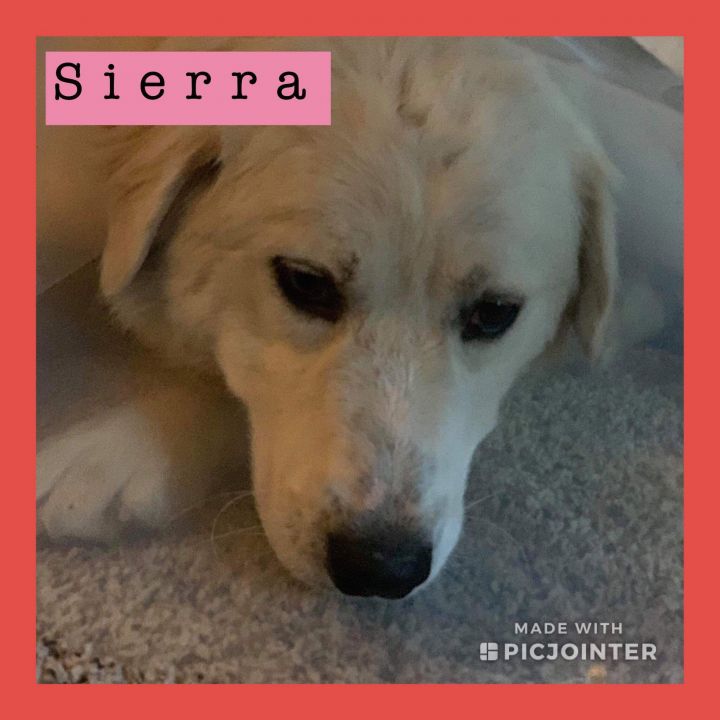 Sierra 3