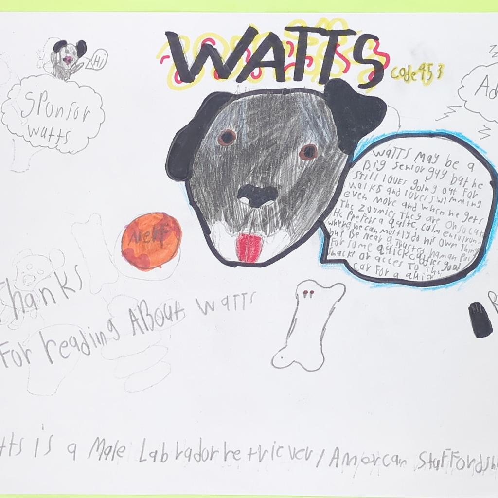 Watts, an adoptable Labrador Retriever, American Staffordshire Terrier in Kanab, UT, 84741 | Photo Image 2