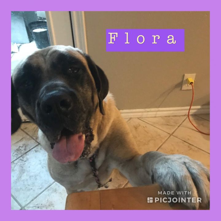 Flora 4