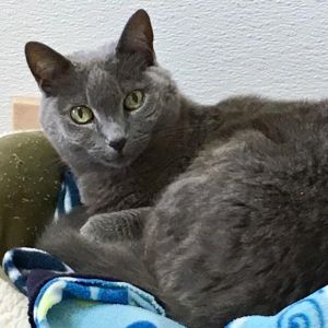 Samantha, Senior Female unknown