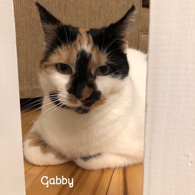 Gabby 2