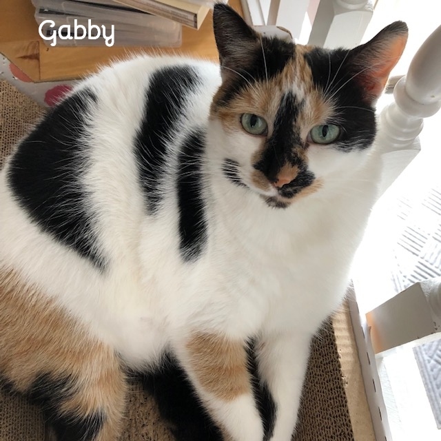 Gabby 1