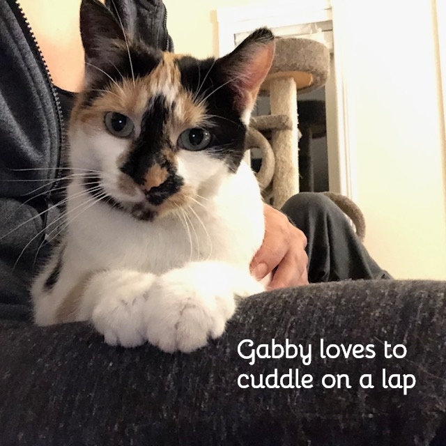 Gabby 5