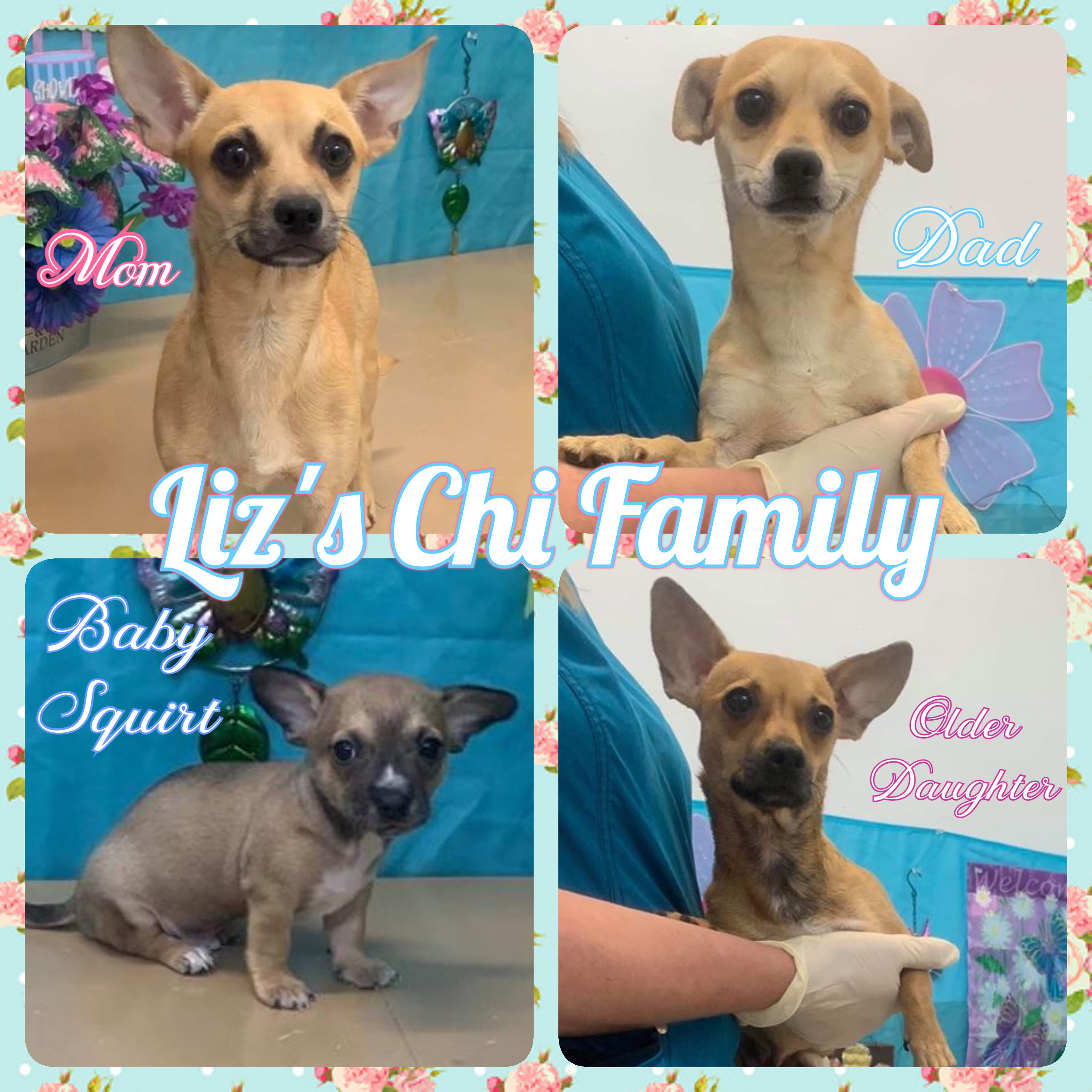Lizs Chi Family detail page