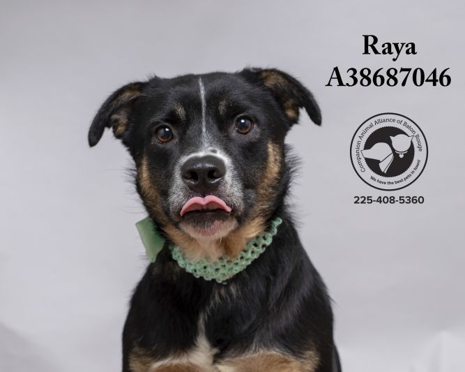Raya (In a Foster Home)