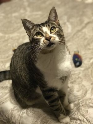 Katalie