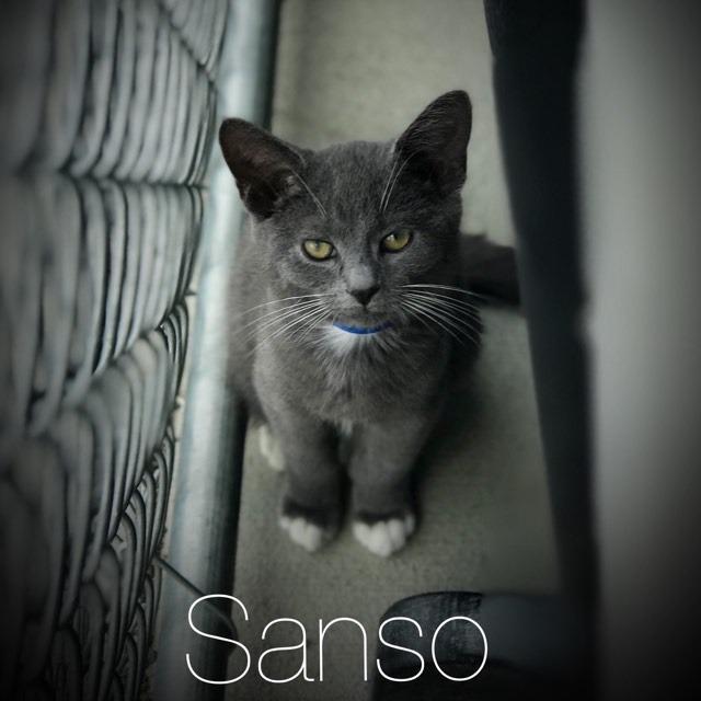 Sanso