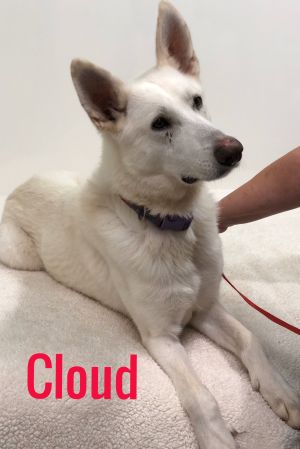 Cloud