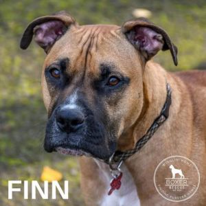 . Finn .
