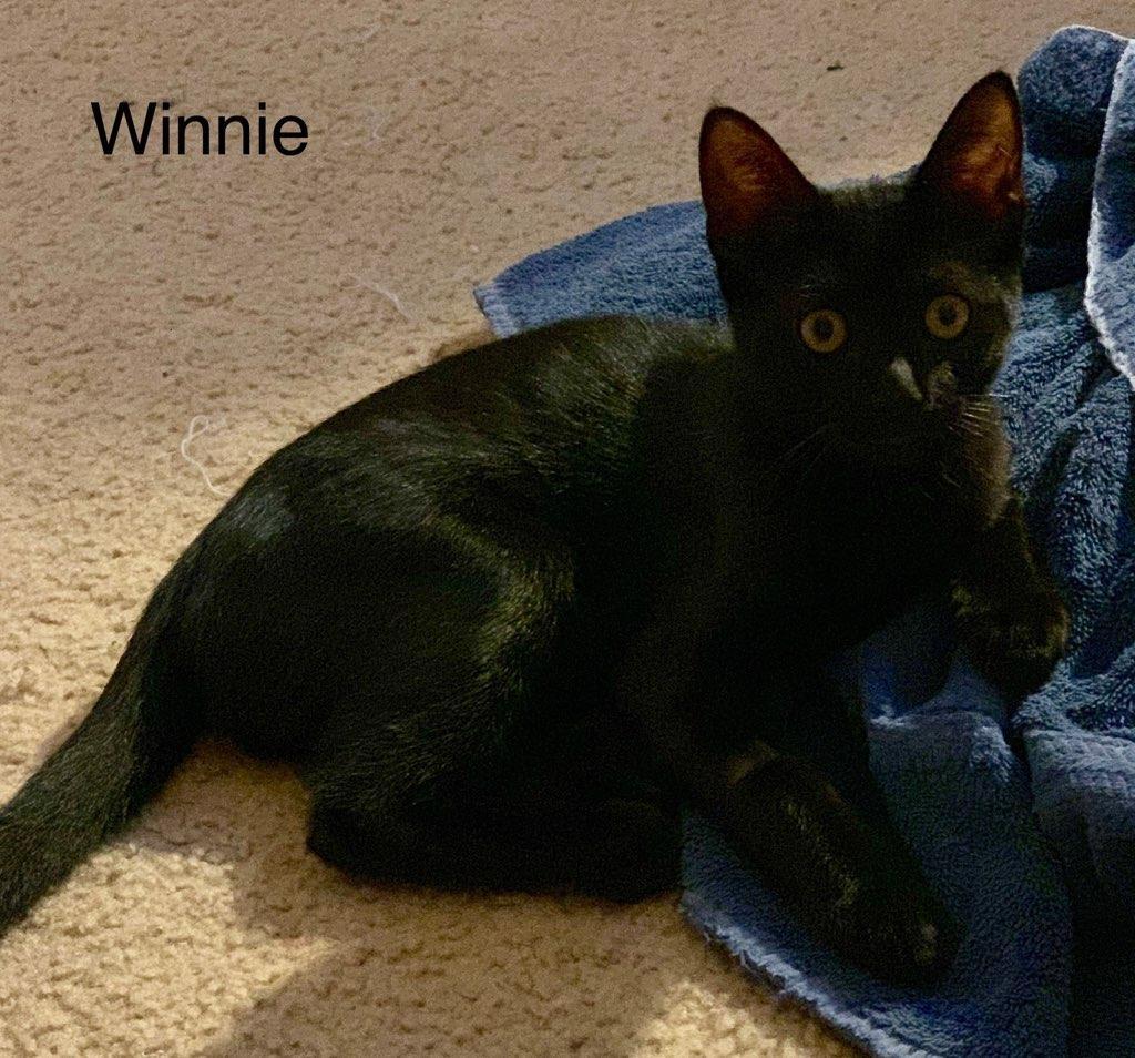 Winnie detail page