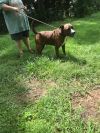 Walter