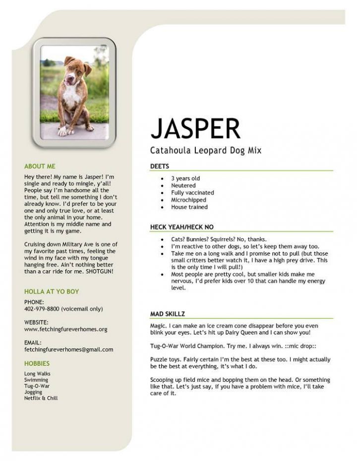 Jasper 3