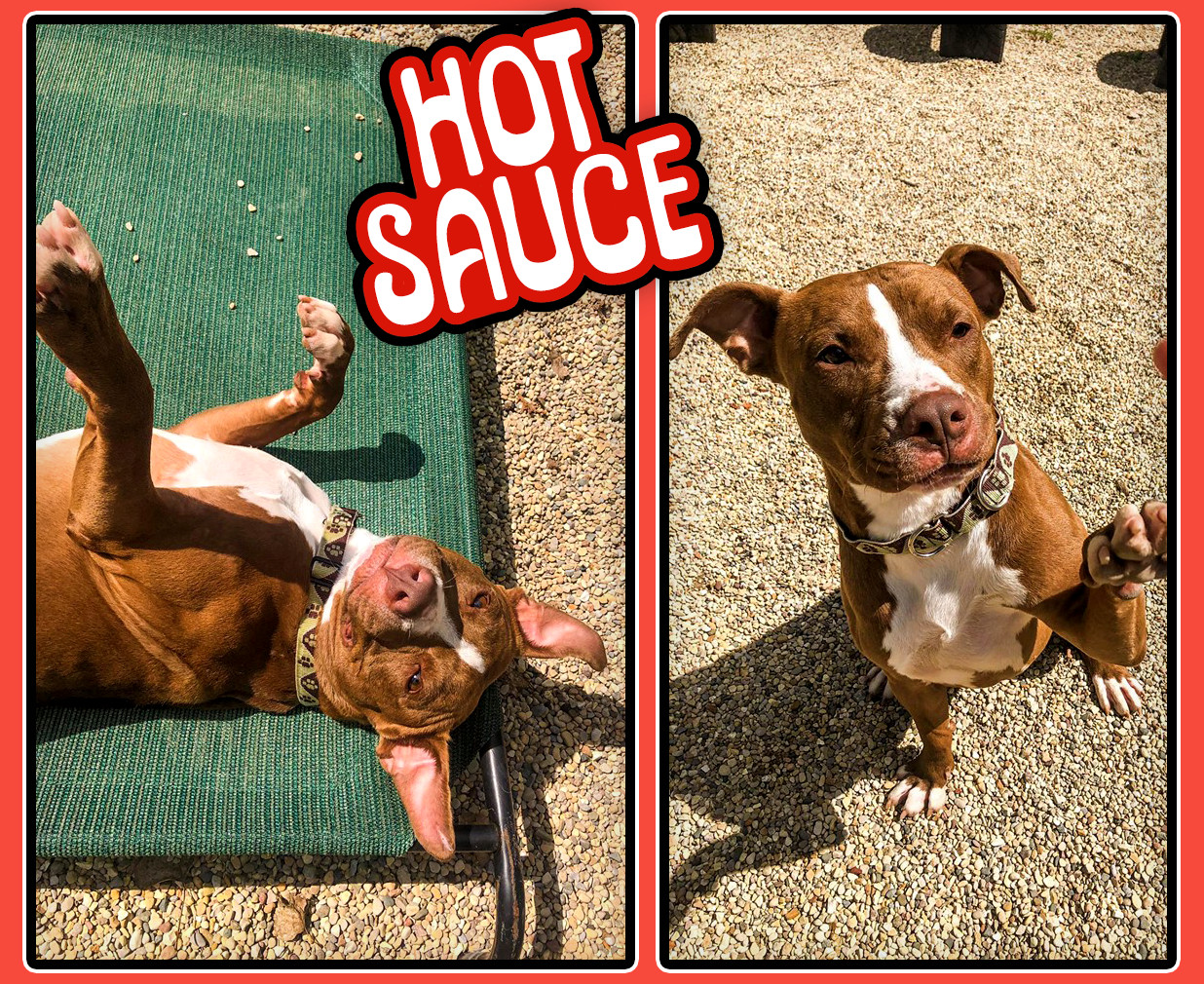 Hot Sauce detail page