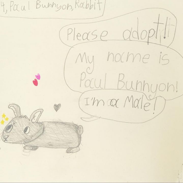 Paul Bunnyon 2