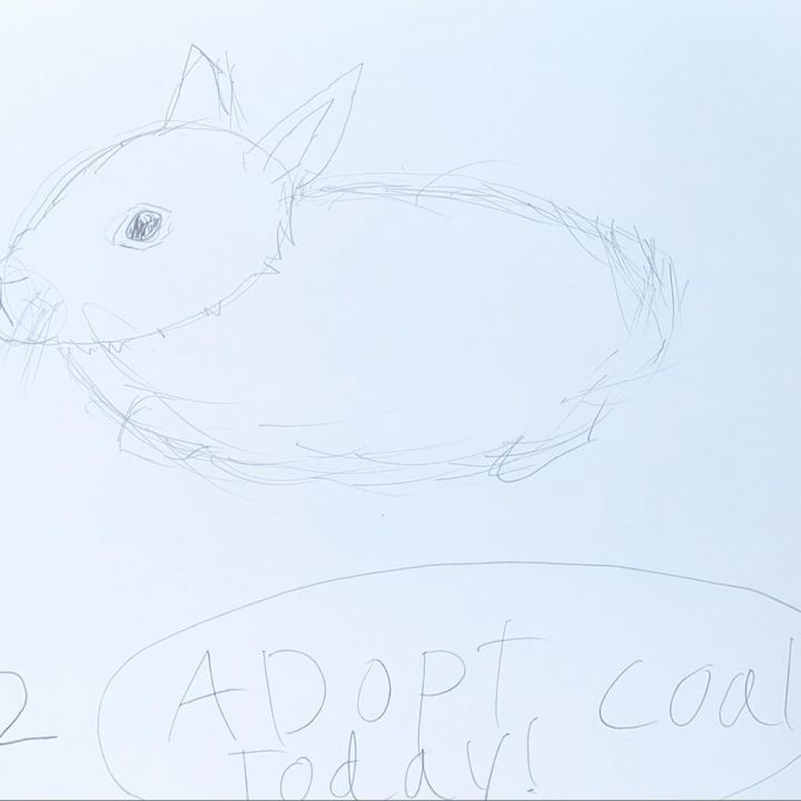 Coal 2