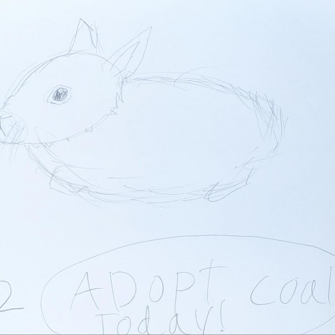 Coal 6