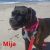 . Mija .