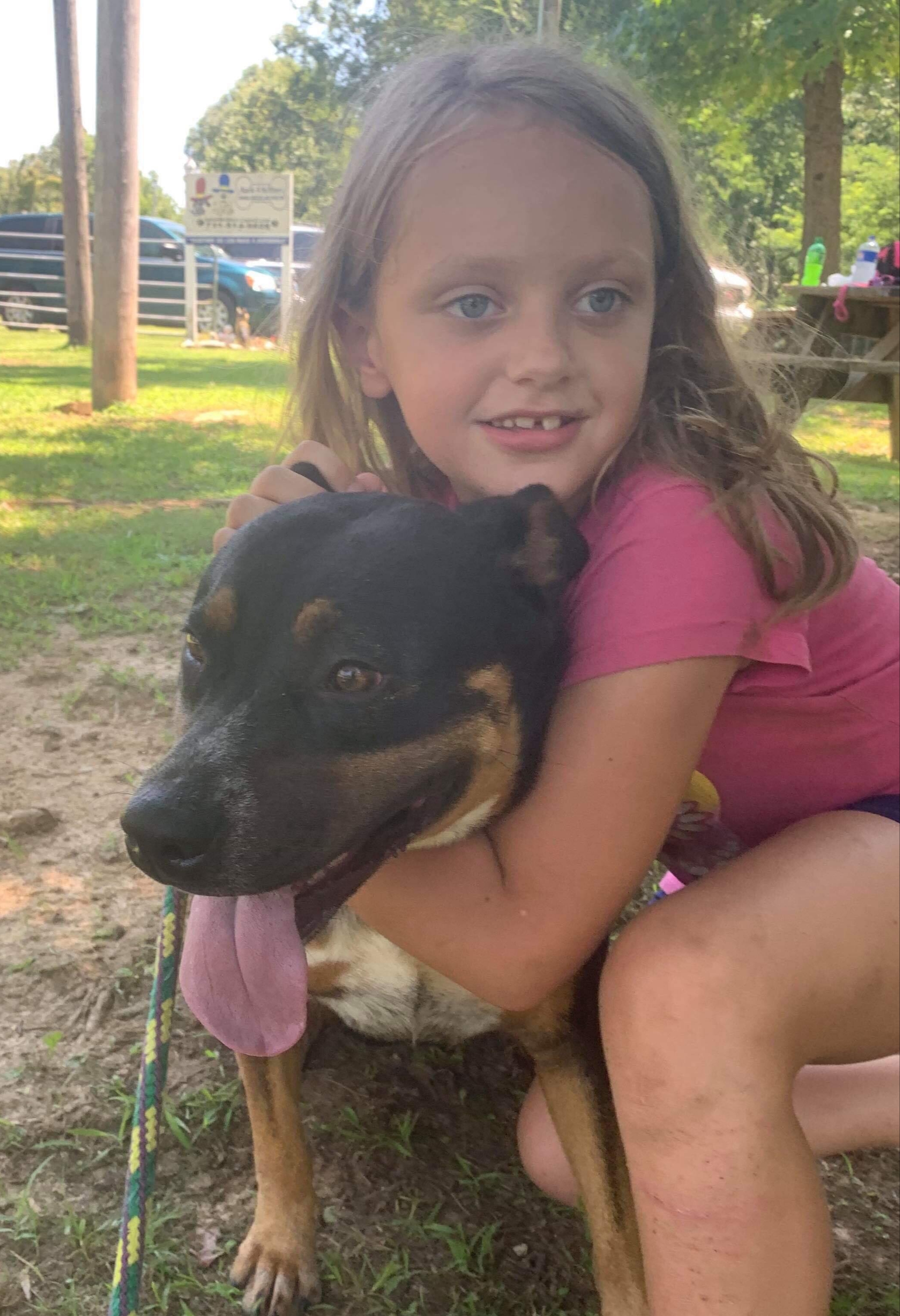 Dixie, an adoptable Rottweiler, Retriever in Greenfield, TN, 38230 | Photo Image 3