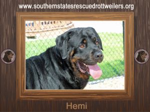 Hemi