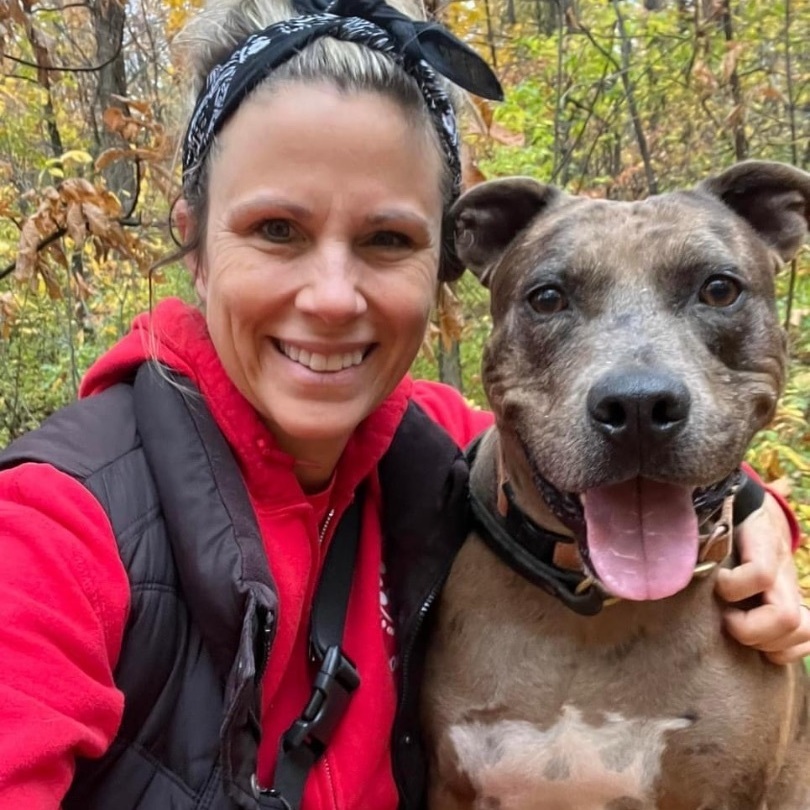 Bronco (Available/In foster and not at shelter), an adoptable Catahoula Leopard Dog in Elyria, OH, 44035 | Photo Image 3