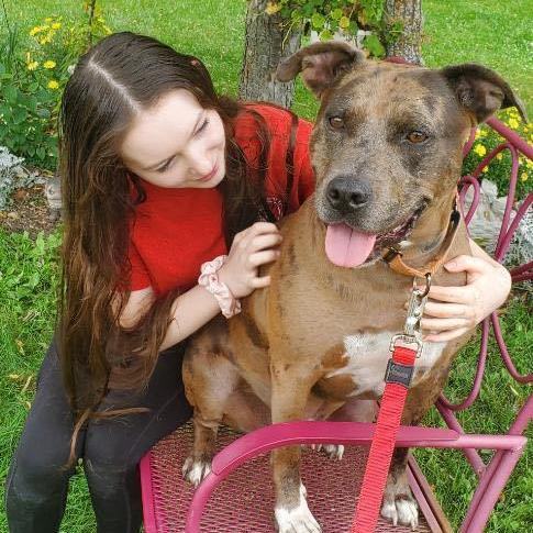 Bronco (Available/In foster and not at shelter), an adoptable Catahoula Leopard Dog in Elyria, OH, 44035 | Photo Image 5