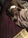 Gus photo 3